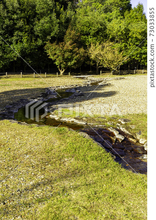 奈良縣平城京城遺址歷史公園Toin Garden 奈良縣平城京城遺址歷史公園Toin Garden 73033855