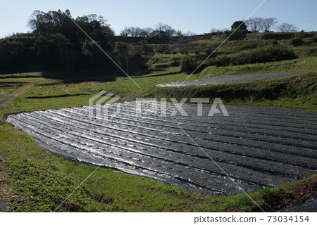 原城堡的風景 73034154