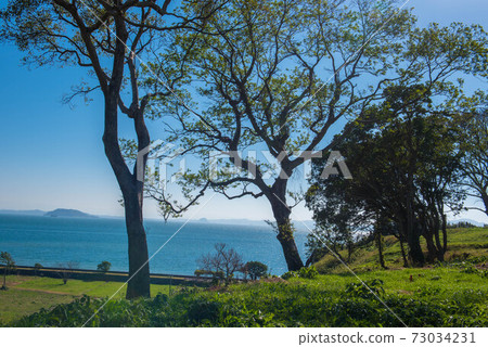 原城堡的風景 73034231