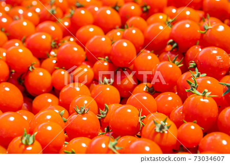 background from red ripe tomatoes grown without chemistry background from red ripe tomatoes grown without chemistry 73034607