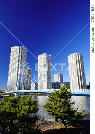 東京灣地區辰見運河和筱之濃大廈 東京灣地區辰見運河和筱之濃大廈 73034625