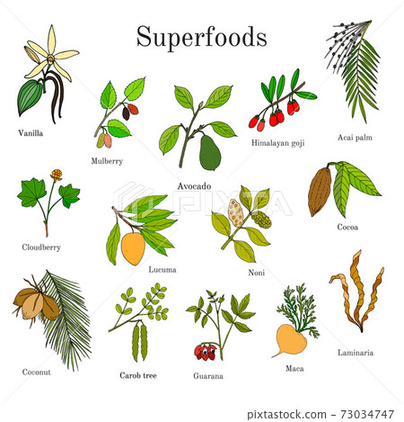 Set of hand drawn superfood 73034747