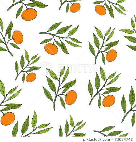 Mandarine seamless pattern Mandarine seamless pattern 73034748