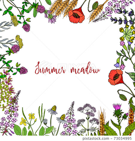 Wild herbs frame 73034995