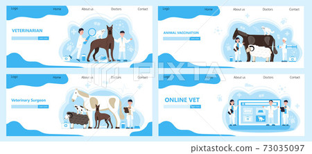 Veterinarian concept vector. Animal doctors diagnosing diseases of dog, cat. Pet health care for website. Veterinary physician treatment illness Veterinarian concept vector. Animal doctors diagnosing diseases of dog, cat. Pet health care for website. Veterinary physician treatment illness 73035097