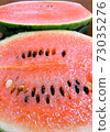 嘶嘶的西瓜 73035276