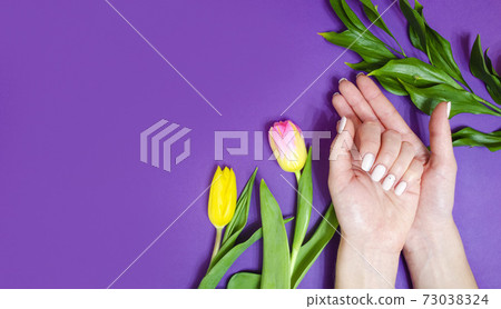 Female manicure on a bright background. Purple 73038324