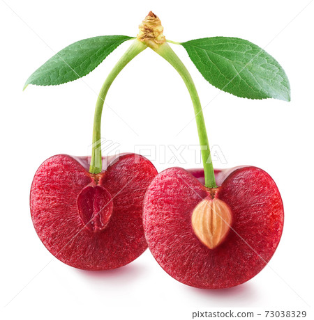 Two halves of sweet cherry on stems isolated on white Two halves of sweet cherry on stems isolated on white 73038329