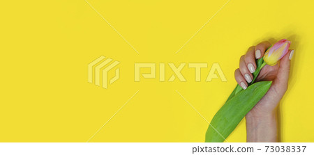 Female manicure on a bright background. Yellow 73038337