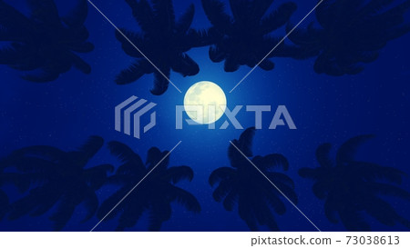 Palm treetops under full moon looking up view 3D Palm treetops under full moon looking up view 3D 73038613