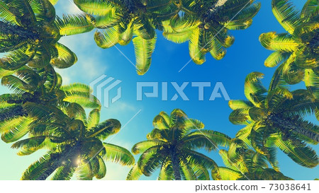 Coconut palms against clear blue sky background 3D Coconut palms against clear blue sky background 3D 73038641