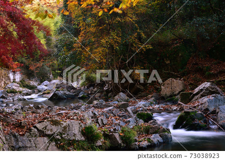 [Takatsuki City] Autumn Settsukyo Gorge 73038923