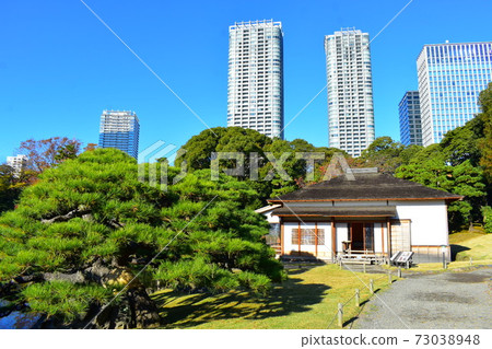 Hamarikyu Garden Hamarikyu Garden 73038948