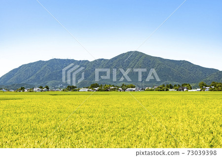 從新潟市西濱區市看到的稻荷和彌彥山（8月） 73039398