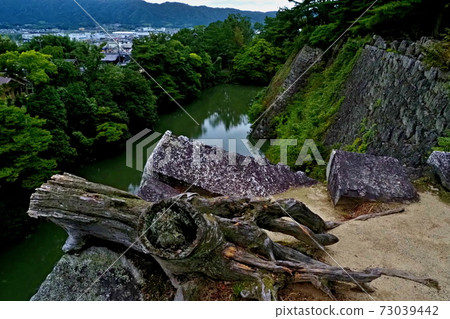 伊賀上野城堡高石牆 伊賀上野城堡高石牆 73039442