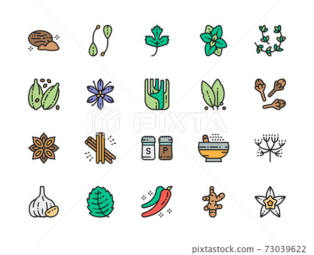 Set of Spice Flat Color Line Icons. Nutmeg, Parsley, Oregano, Cardamom and more. Set of Spice Flat Color Line Icons. Nutmeg, Parsley, Oregano, Cardamom and more. 73039622