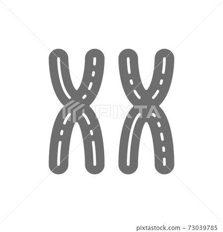 symbol for female chromosome