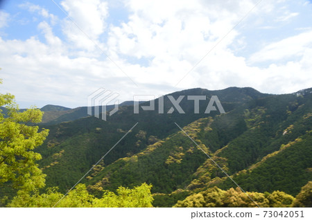 高知縣的山區（高知縣高岡郡中土佐町） 73042051