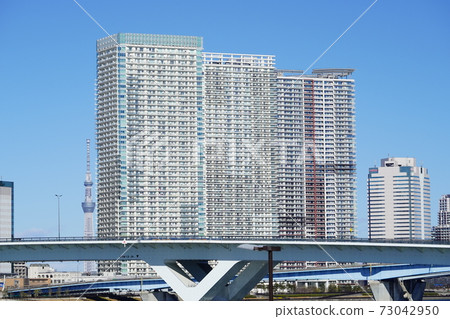 東京灣地區晴海碼頭的風景 73042950