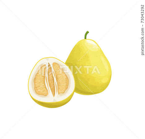 Pomelo fruit, tropical exotic citrus fruits food 73043292