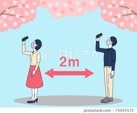 sakura, shot, photography 73043572