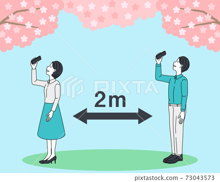sakura, shot, photography 73043573