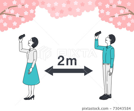 cherry blossom, shot, photography 73043584