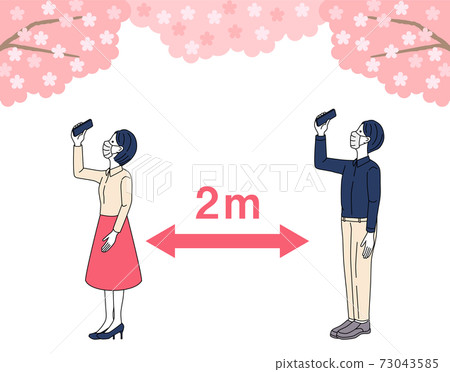 cherry blossom, female, lady 73043585