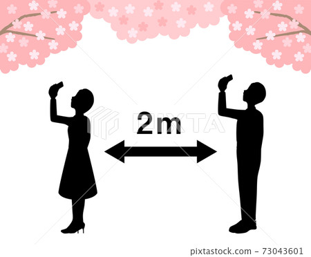 櫻花 櫻 賞櫻 73043601