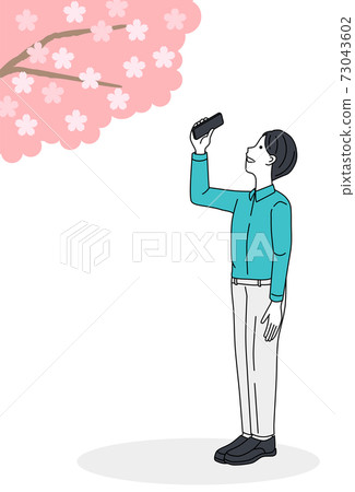 櫻花 櫻 賞櫻 73043602