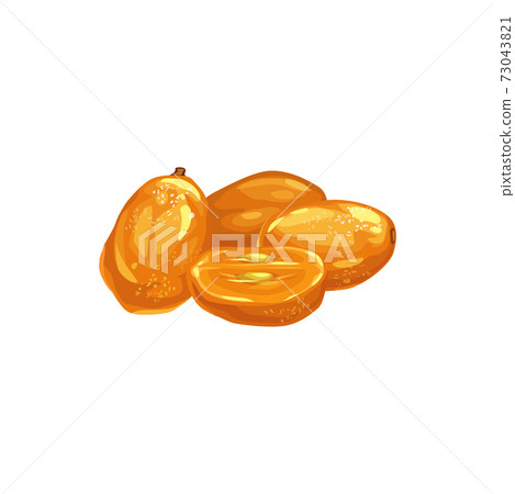 Kumquat dried fruits, dry food snack and sweets 73043821