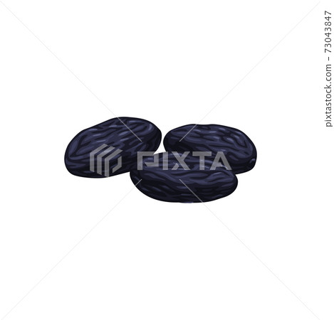 Prunes dried plum fruits, dry food snack sweets Prunes dried plum fruits, dry food snack sweets 73043847