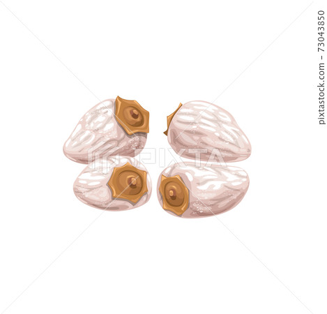 Persimmon dried fruits, dry food snacks and sweets 73043850