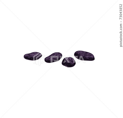 Raisins dried fruits, dry food snacks sweets Raisins dried fruits, dry food snacks sweets 73043852