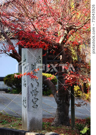 Nichijo Hachimangu Shrine Nichijo Hachimangu Shrine 73043926