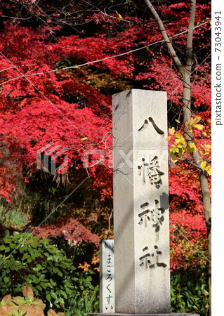 日上八man宮 73043941