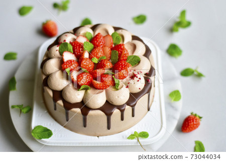 草莓和薄荷巧克力蛋糕 草莓和薄荷巧克力蛋糕 73044034