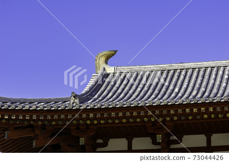 Yakushiji Kondo, Nara City, Nara Prefecture 73044426