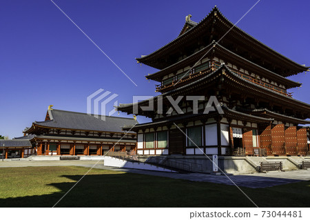 奈良縣奈良市Yakushiji Kondo and Daikodo 73044481