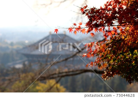 Todaiji Temple of Great Bodens 73044628