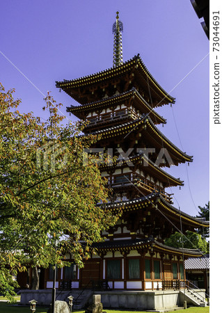 奈良縣奈良市Yakushiji West Tower 奈良縣奈良市Yakushiji West Tower 73044691