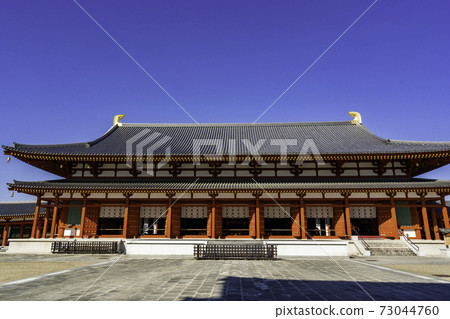 Yakushiji Temple Daikodo, Nara City, Nara Prefecture Yakushiji Temple Daikodo, Nara City, Nara Prefecture 73044760