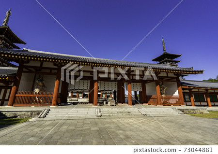 Yakushiji Temple Nakamon, Nara City, Nara Prefecture 73044881