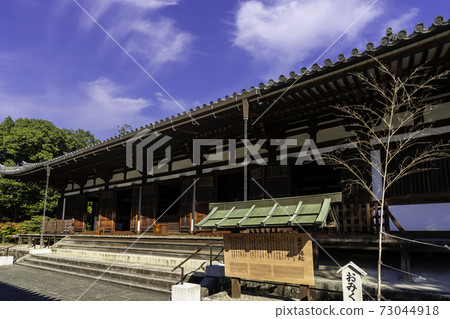 奈良縣奈良市Yakushiji Toindo 73044918