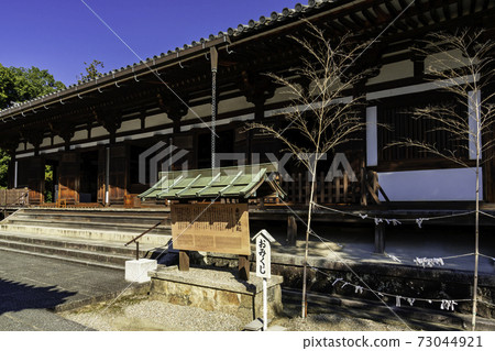 奈良縣奈良市Yakushiji Toindo 73044921