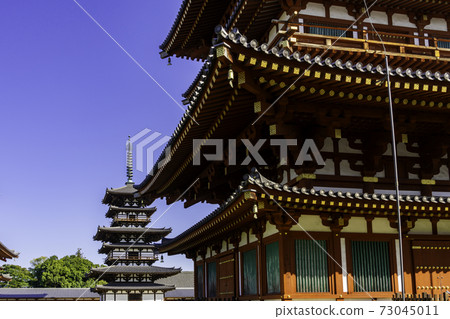 奈良縣奈良市Yakushiji東塔 73045011