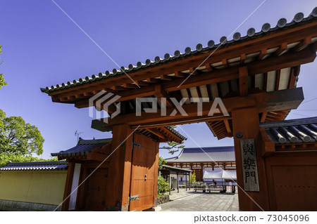 奈良縣奈良市Yakushiji Temple Yogakumon 奈良縣奈良市Yakushiji Temple Yogakumon 73045096