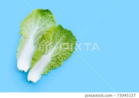 Chinese cabbage on blue background. Copy space Chinese cabbage on blue background. Copy space 73045137