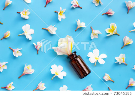 Essential oil bottle with plumeria or frangipani flower on blue background. Top view 73045195