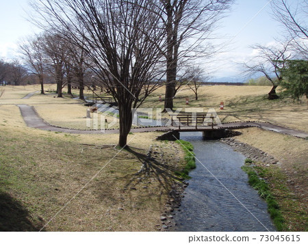 Park Shingentsutsumi Park in early spring Park Shingentsutsumi Park in early spring 73045615